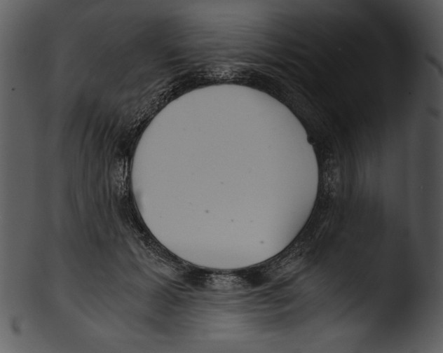 X0000103220605200809251137