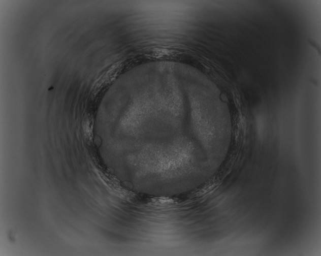 X0000103220607200809251137