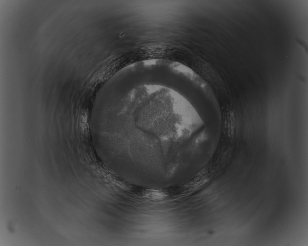 X0000103220610200809251137