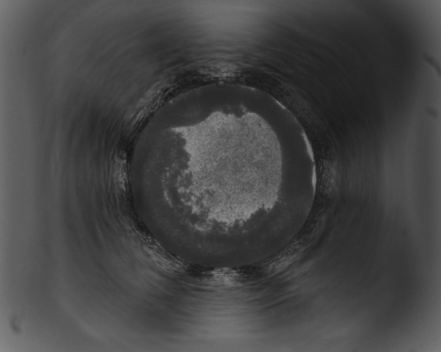 X0000103220612200809251137