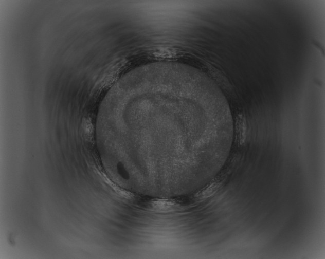 X0000103220614200809251137