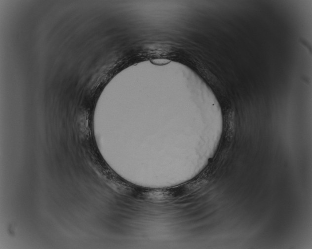 X0000103220615200809251137