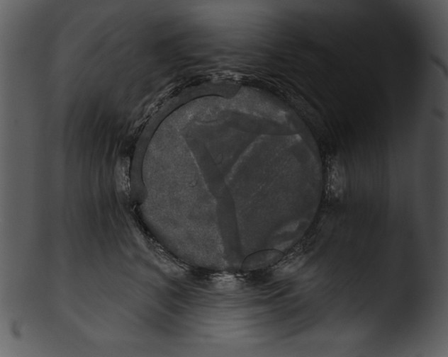 X0000103220616200809251137