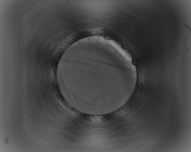 X0000103220618200809251137