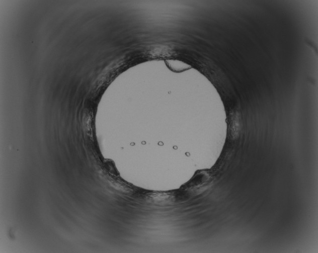 X0000103220619200809251137