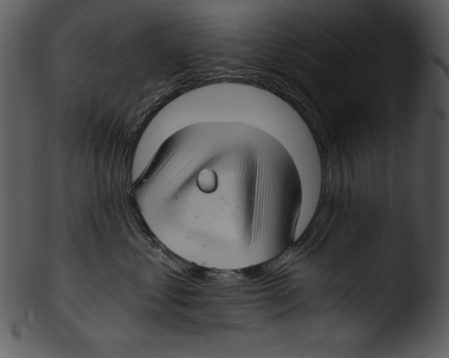 X0000103220621200809251137