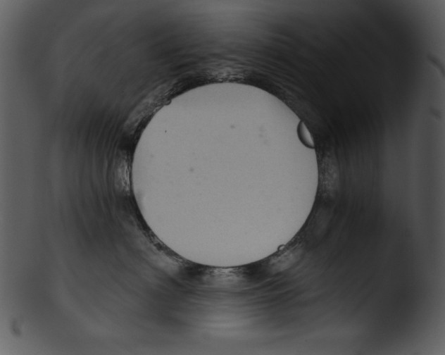 X0000103220622200809251137