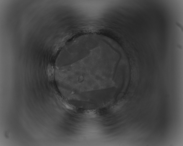 X0000103220624200809251137