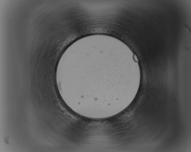 X0000103220625200809251136