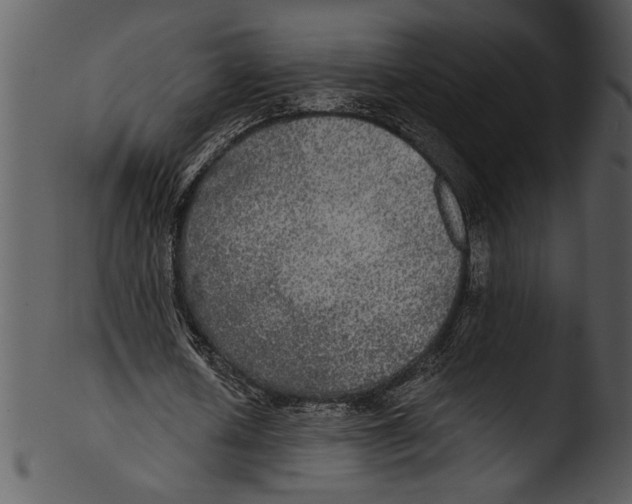 X0000103220626200809251136