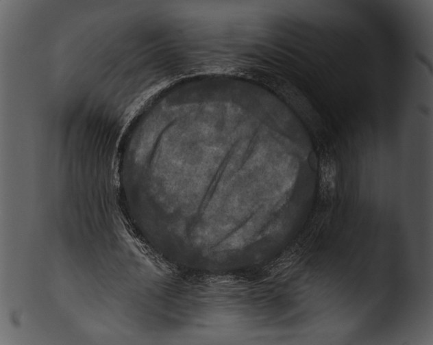 X0000103220628200809251136