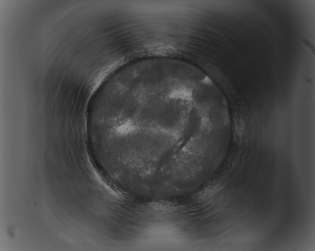 X0000103220630200809251136