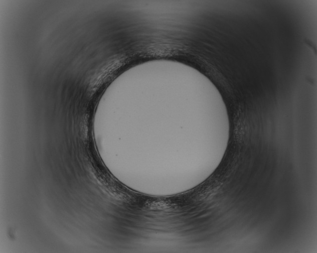 X0000103220635200809251136