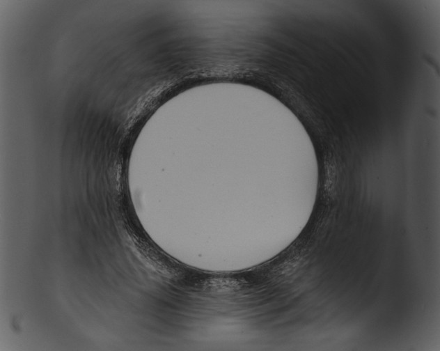 X0000103220636200809251136