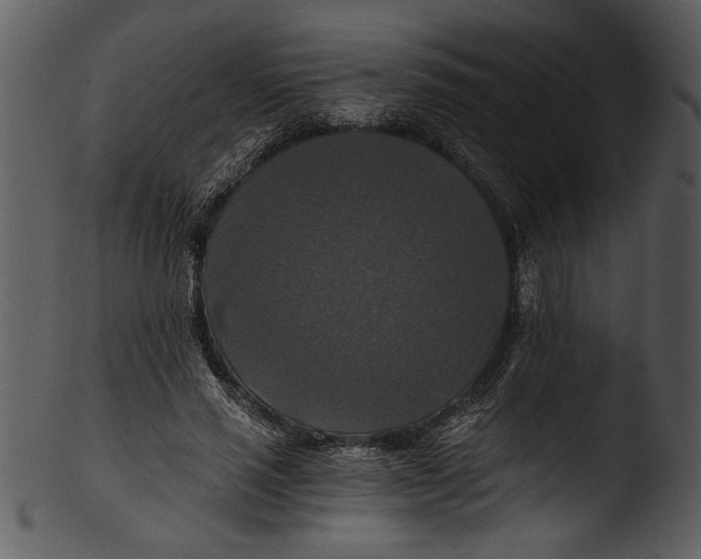 X0000103220637200809251136