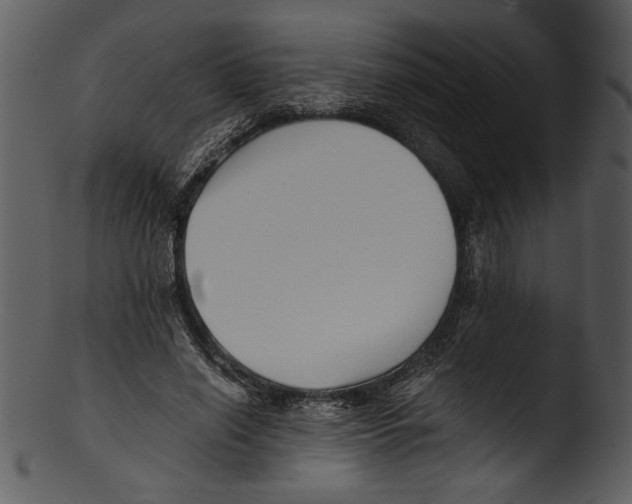 X0000103220638200809251136