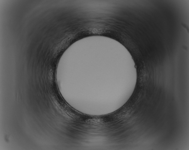 X0000103220639200809251136