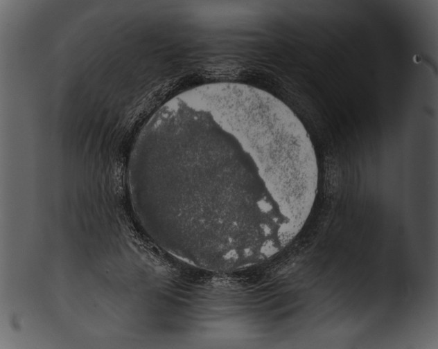 X0000103220641200809251136