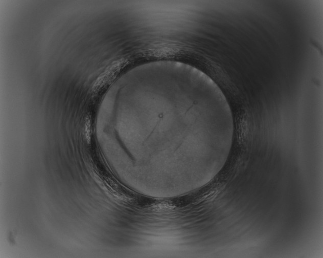 X0000103220644200809251136