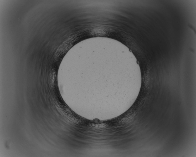 X0000103220645200809251136