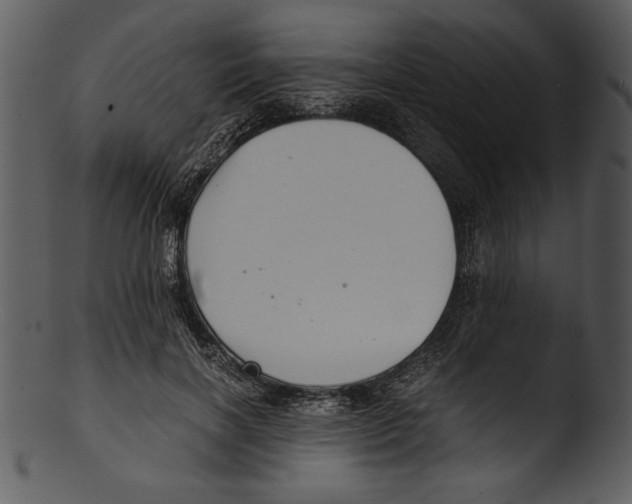 X0000103220646200809251136