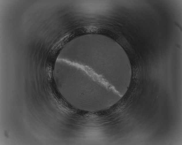 X0000103220648200809251136