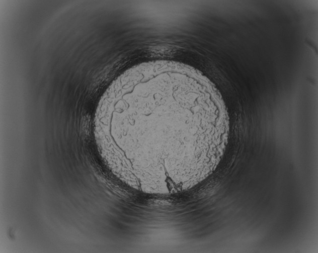 X0000103220649200809251136