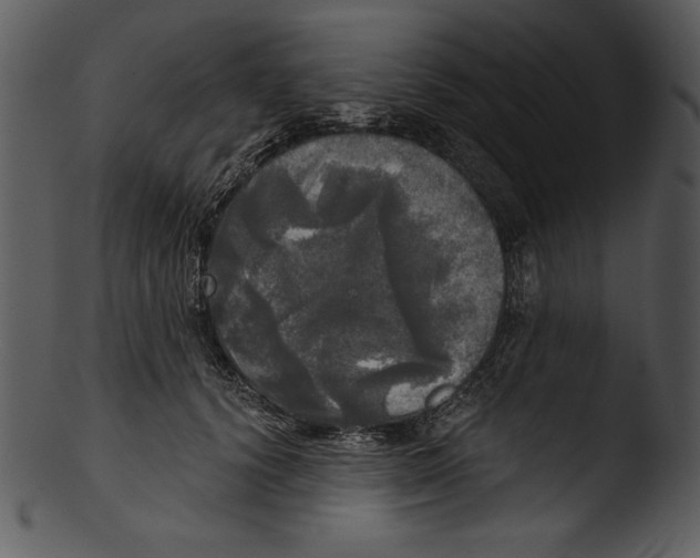 X0000103220656200809251136