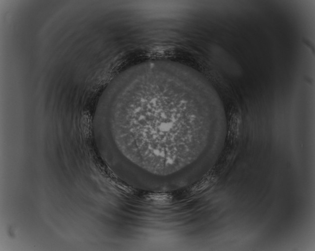 X0000103220659200809251136