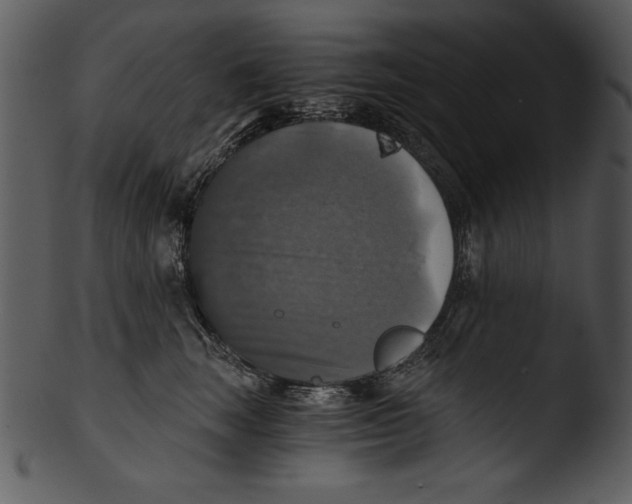 X0000103220663200809251136