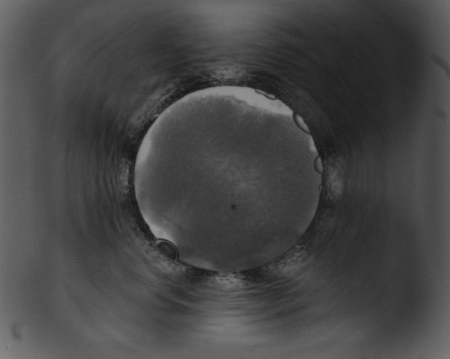 X0000103220668200809251137