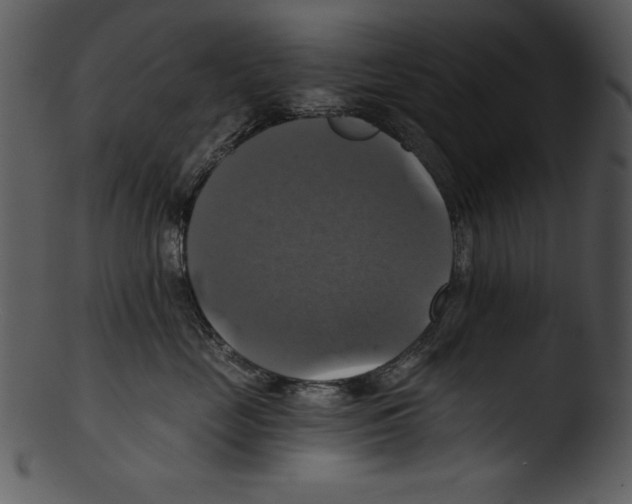 X0000103220669200809251137