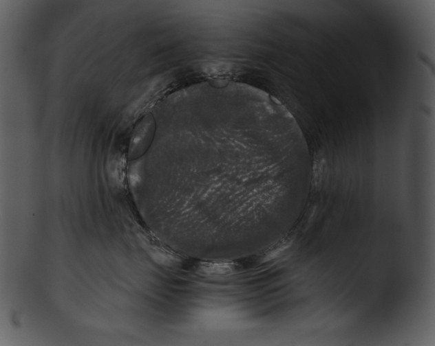 X0000103220671200809251137