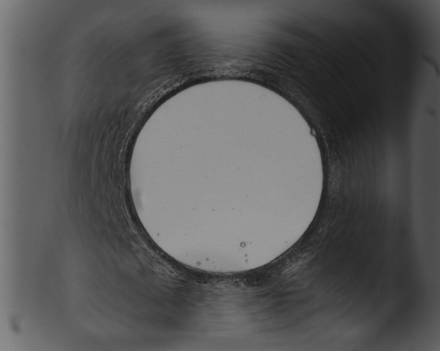 X0000103220673200809251136