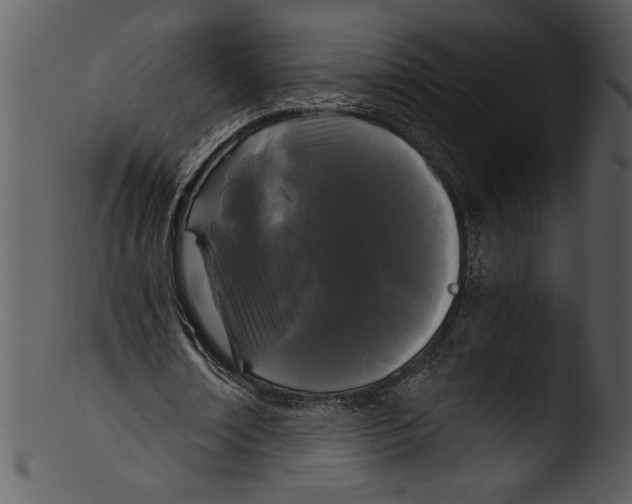 X0000103220674200809251136