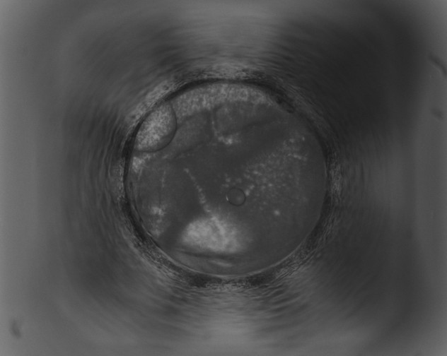 X0000103220679200809251136