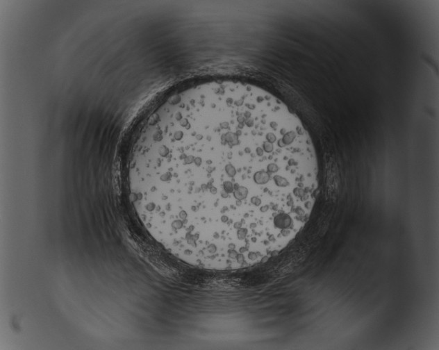 X0000103220680200809251136