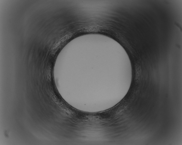 X0000103220681200809251136