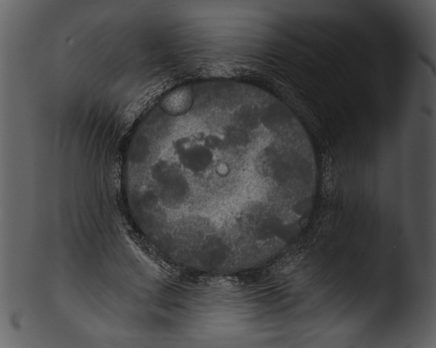 X0000103220683200809251136