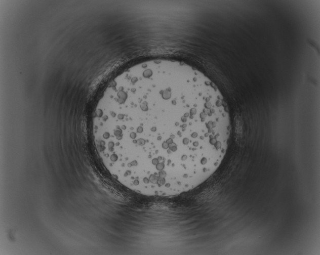 X0000103220684200809251136