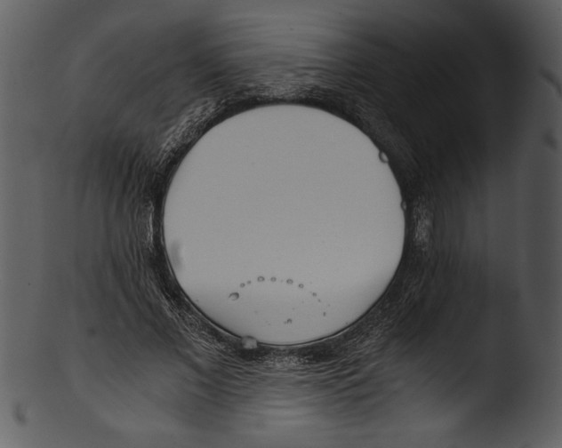 X0000103220685200809251136