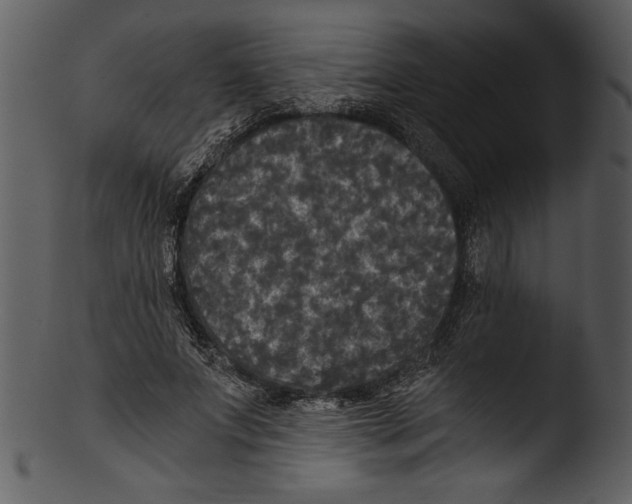 X0000103220687200809251136