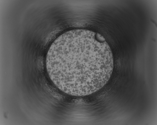 X0000103220688200809251136