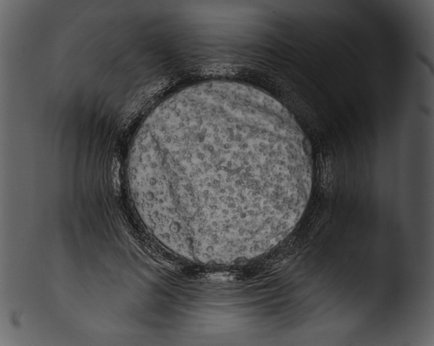 X0000103220692200809251135