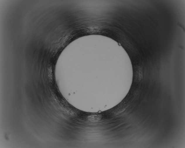 X0000103220700200809251135