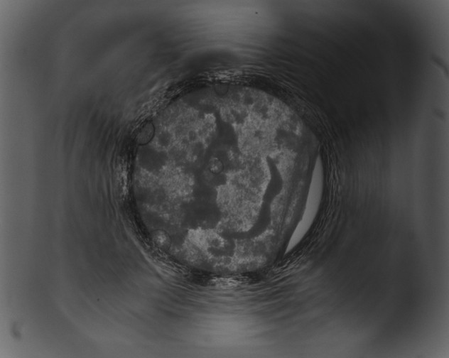 X0000103220703200809251135