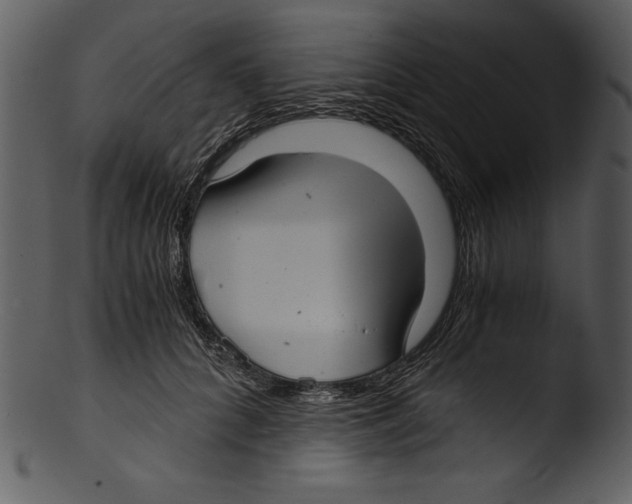 X0000103220704200809251135