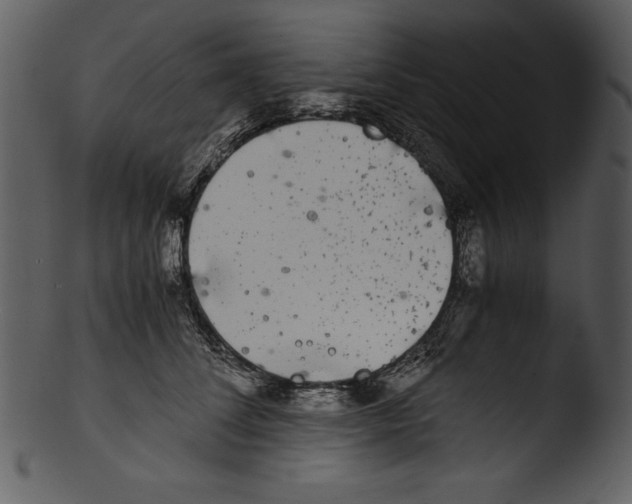 X0000103220708200809251135