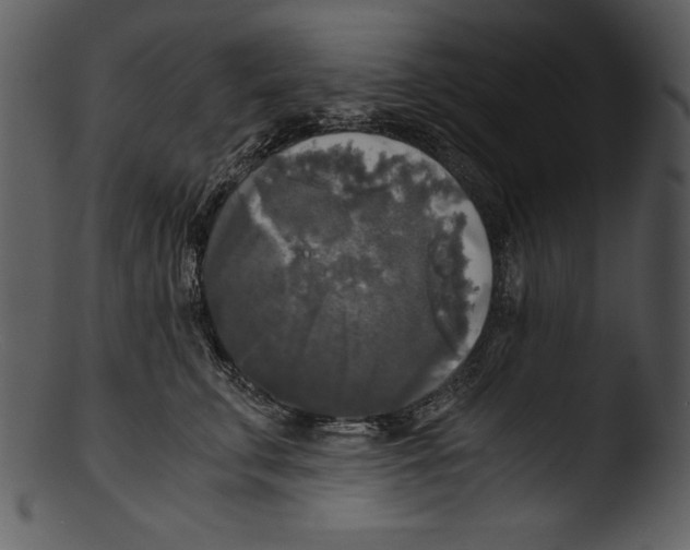 X0000103220711200809251135