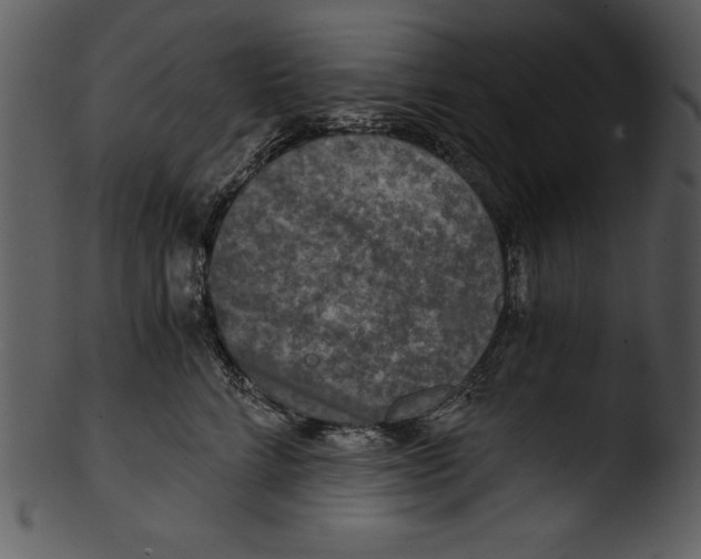 X0000103220712200809251135